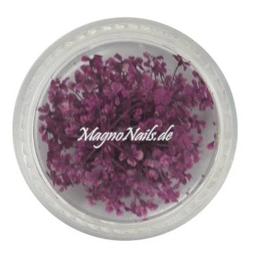 TB4 - Einlegemotive - Echte Trocken Blumen - aubergine Nails Nailart Nögel