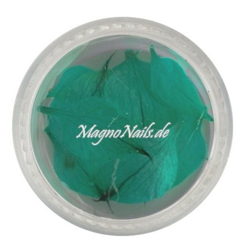 TB2 - Einlegemotive - Echte Trocken Blumen - türkis Nageldesign Nägel Nails Nagelstudio Einleger Nailart getrocknet