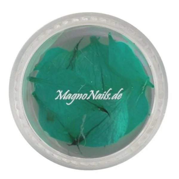 TB2 - Einlegemotive - Echte Trocken Blumen - türkis Nageldesign Nägel Nails Nagelstudio Einleger Nailart getrocknet