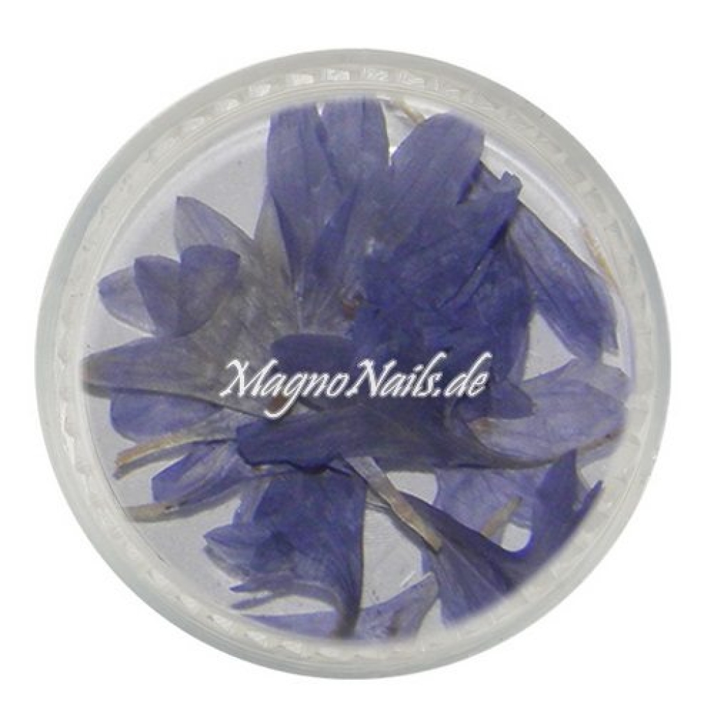 TB1 - Einlegemotive - Echte Trocken Blumen - blau Nageldesign Nägel Nails Nagelstudio Einleger Nailart getrocknet