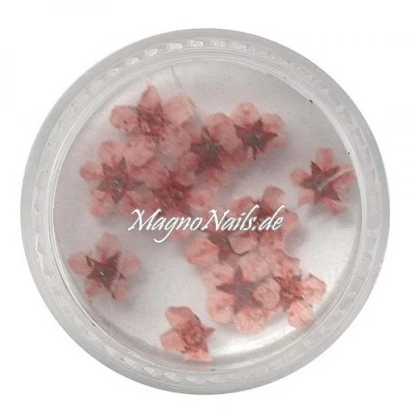 TB3 - Einlegemotive - Echte Trocken Blumen - rosa Nails Nailart Nögel