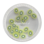 Einlegemotive - Fimo Früchte - Kiwi
