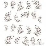 2D Water Transfer Sticker braun metallic