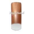 Airbrush Tips Profitips French Design Nageltips hell braun metallic