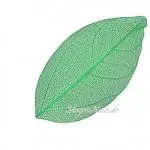 Einlegemotive - Nail Art Skelettblätter grün