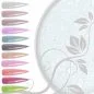 Preview: Mirror Glas Pigment - Glas Effekt Nail Nagelstudio Nägel Nailart Nail art