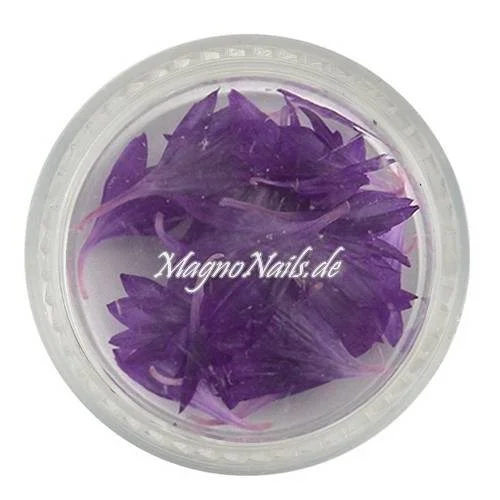 TB1 - Einlegemotive - Echte Trocken Blumen - aubergine Nails Nailart Nögel