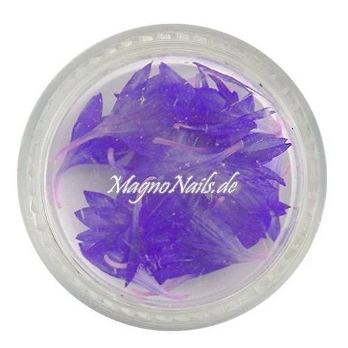 TB1 - Einlegemotive - Echte Trocken Blumen - lila Nails Nailart Nögel