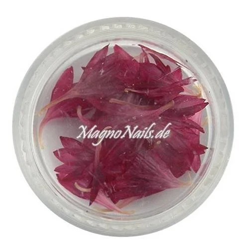 TB1 - Einlegemotive - Echte Trocken Blumen - weinrot Nails Nailart Nögel