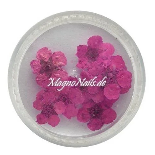 TB3 - Einlegemotive -Echte Trocken Blumen - weinrot Nails Nailart Nögel