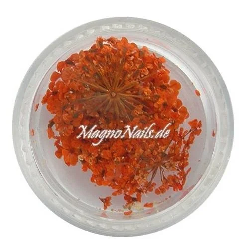 TB4 - Einlegemotive - Echte Trocken Blumen - orange Nails Nailart Nögel