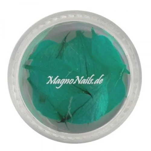 TB2 - Einlegemotive - Echte Trocken Blumen - türkis Nageldesign Nägel Nails Nagelstudio Einleger Nailart getrocknet