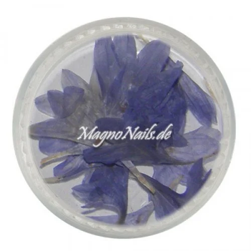 TB1 - Einlegemotive - Echte Trocken Blumen - blau Nageldesign Nägel Nails Nagelstudio Einleger Nailart getrocknet