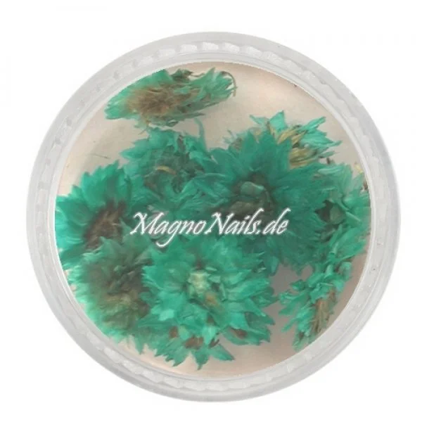 TB5 - Einlegemotive - Echte Trocken Blumen - grün Nails Nailart Nögel