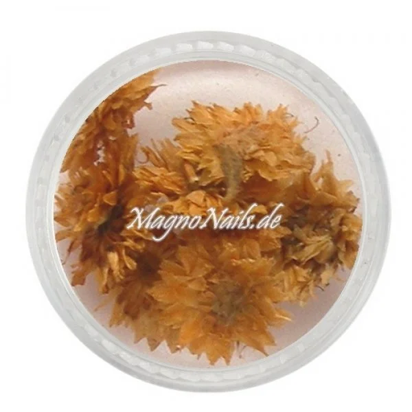 TB5 - Einlegemotive - Echte Trocken Blumen - orange Nails Nailart Nögel
