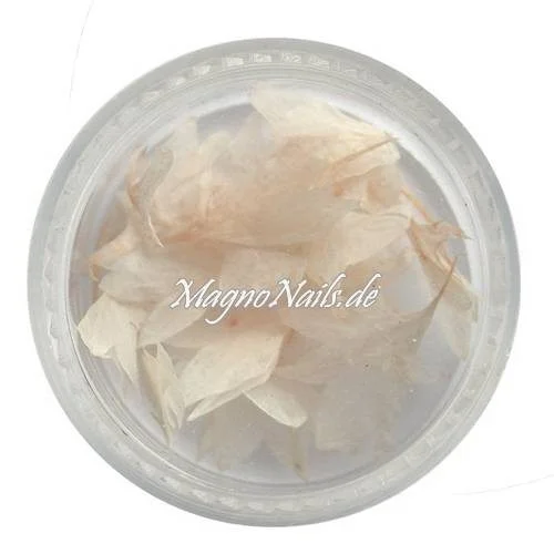 TB1 - Einlegemotive - Echte Trocken Blumen - weiß-rosa Naildesign Nails Nailart Nögel