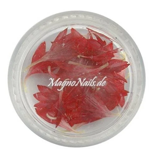 TB1 - Einlegemotive - Echte Trocken Blumen - rot Nails Nailart Nögel