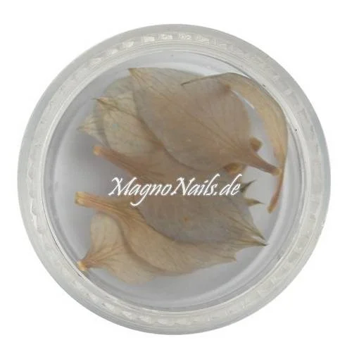 TB2 - Einlegemotive - Echte Trocken Blumen - weiß Nails Nailart Nögel