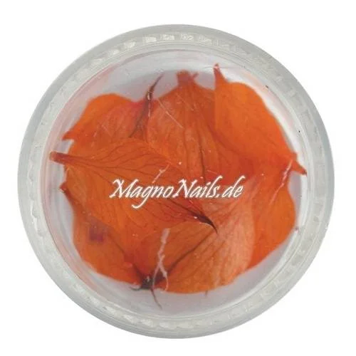 TB2 - Einlegemotive - Echte Trocken Blumen - orange Nails Nailart Nögel