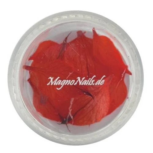 TB2 - Einlegemotive - Echte Trocken Blumen - rot Nails Nailart Nögel