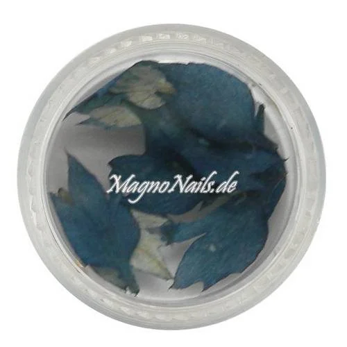 TB2 - Einlegemotive - Echte Trocken Blumen - dunkelblau Nails Nailart Nögel