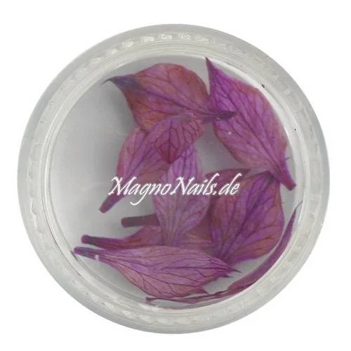 TB2 - Einlegemotive - Echte Trocken Blumen - violett Nails Nailart Nögel