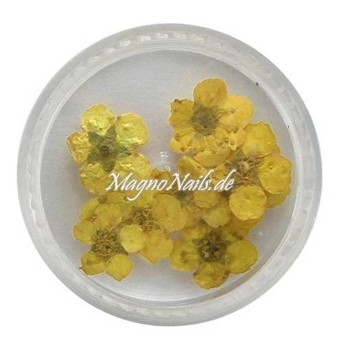 TB3 - Einlegemotive - Echte Trocken Blumen - gelb Nails Nailart Nögel