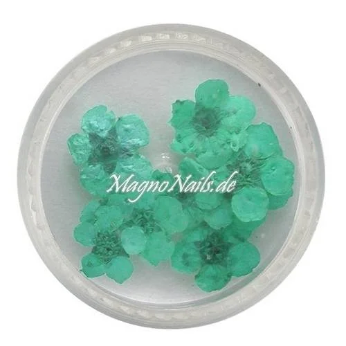 TB3 - Einlegemotive - Echte Trocken Blumen - türkis Nails Nailart Nögel