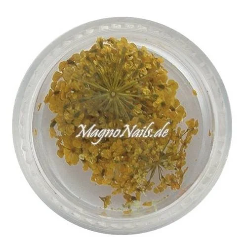 TB4 - Einlegemotive - Echte Trocken Blumen - gelb Nails Nailart Nögel