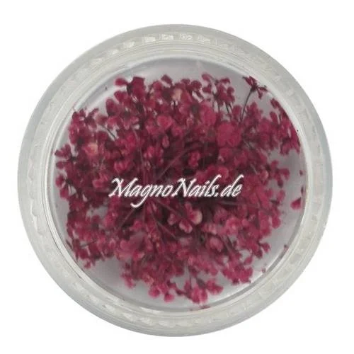TB4 - Einlegemotive - Echte Trocken Blumen - weinrot Nails Nailart Nögel